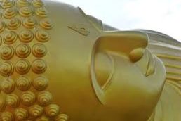 buddha